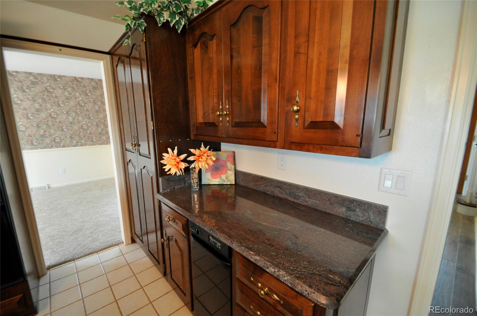 12783 Roundup Road Parker, CO 80138 - Photo 20 of 34 Gallery Image 20