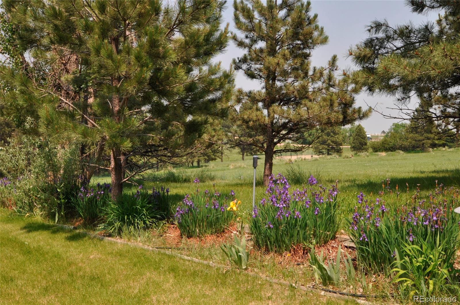 12783 Roundup Road Parker, CO 80138 - Photo 23 of 34 Gallery Image 23