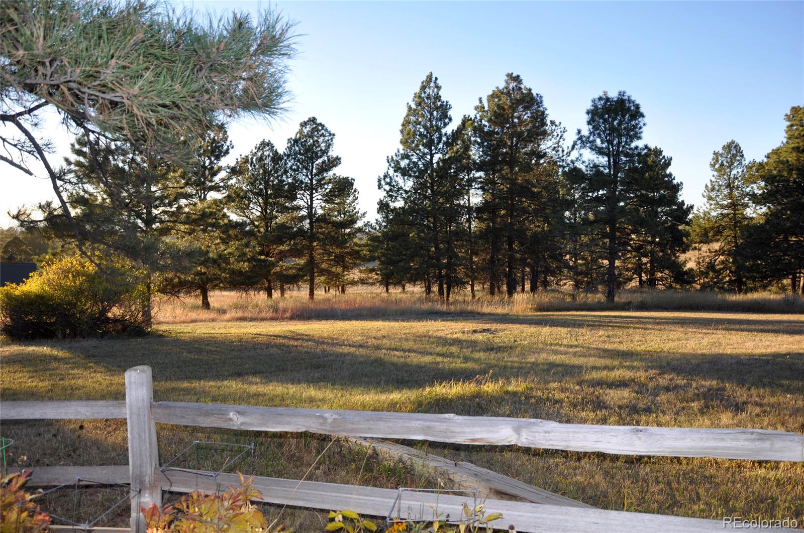 12783 Roundup Road Parker, CO 80138 - Photo 25 of 34 Gallery Image 25