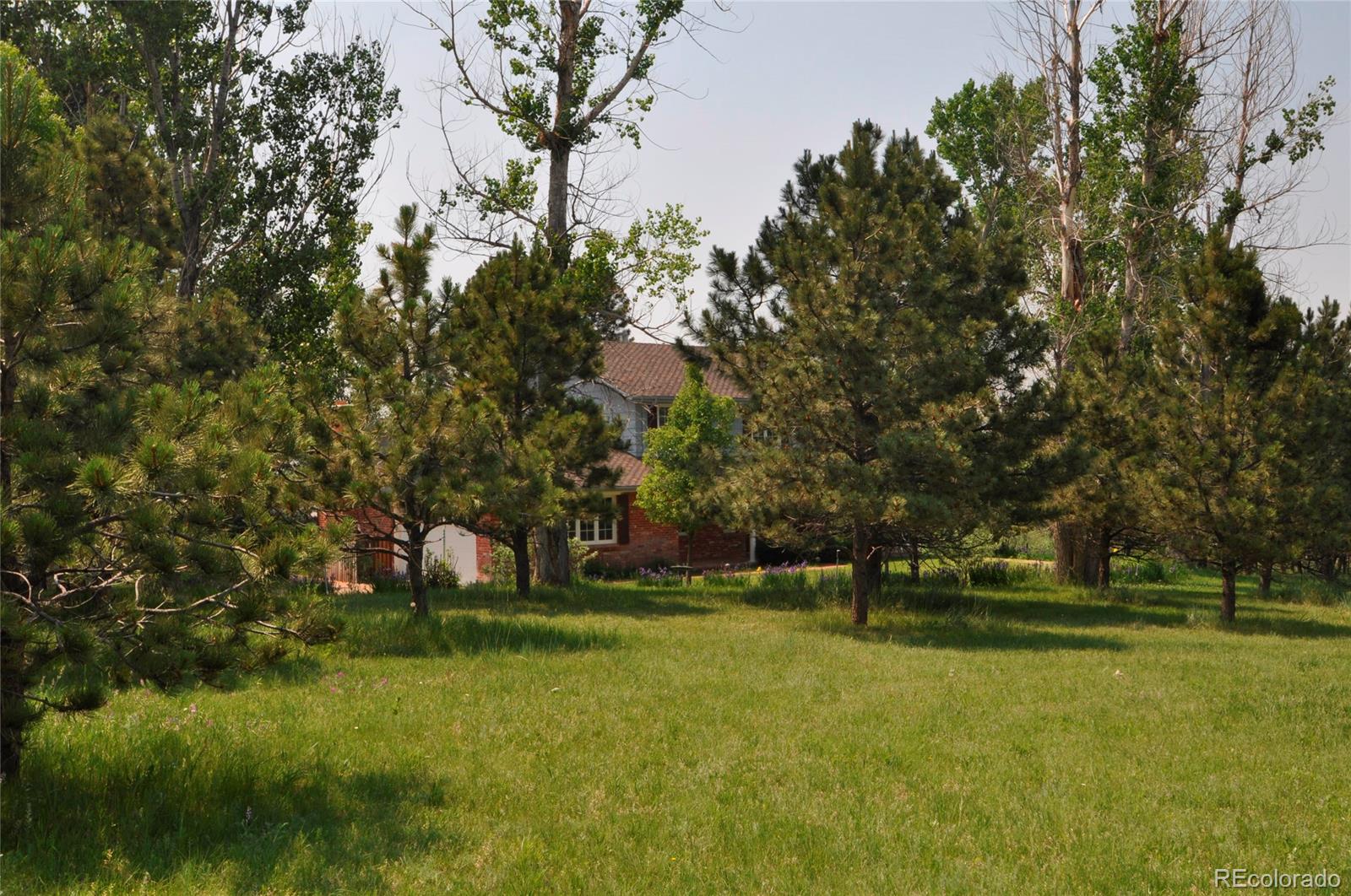 12783 Roundup Road Parker, CO 80138 - Photo 29 of 34 Gallery Image 29