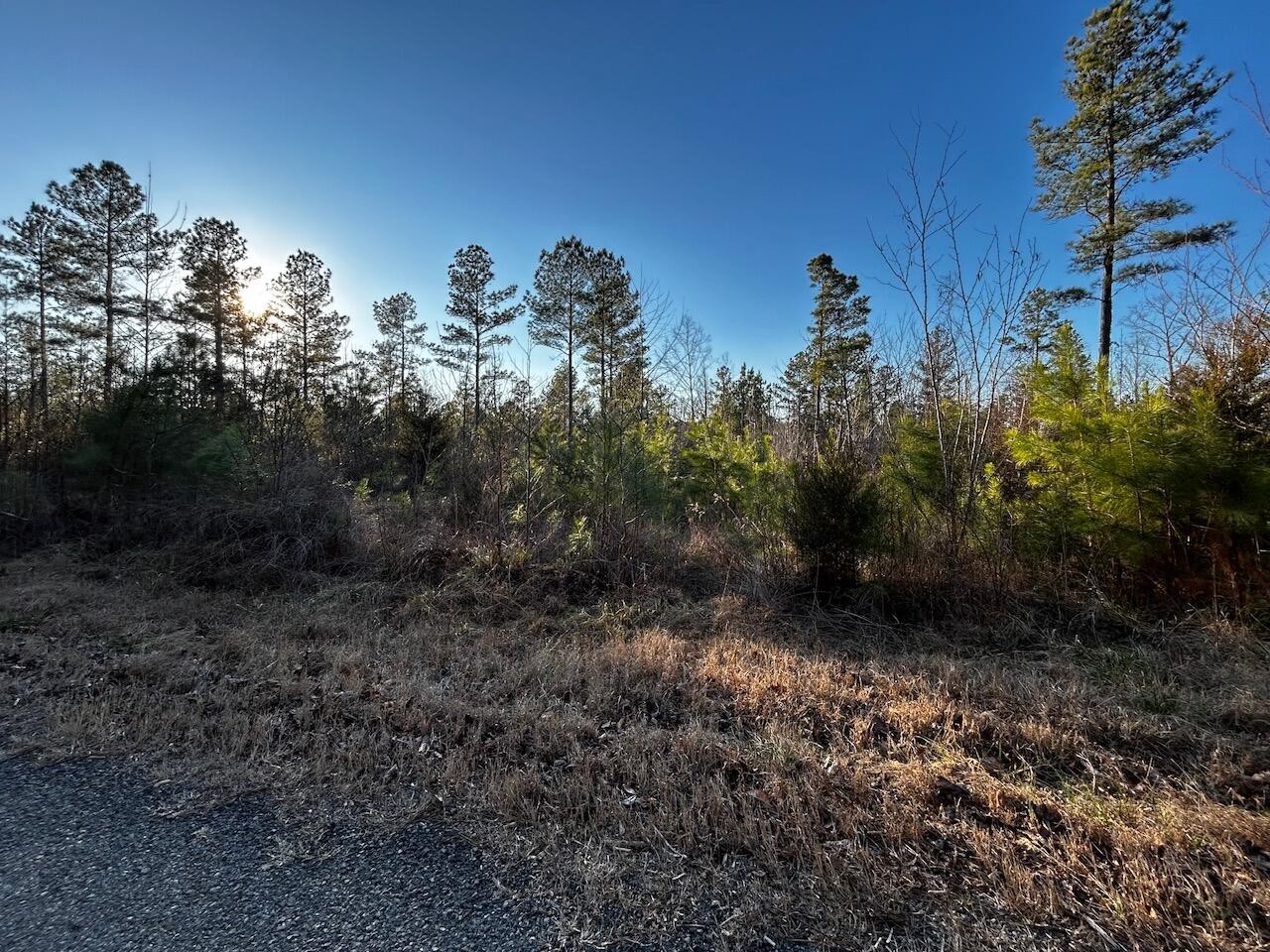 10 Johns Road Decatur, TN 37322 - Photo 1 of 7