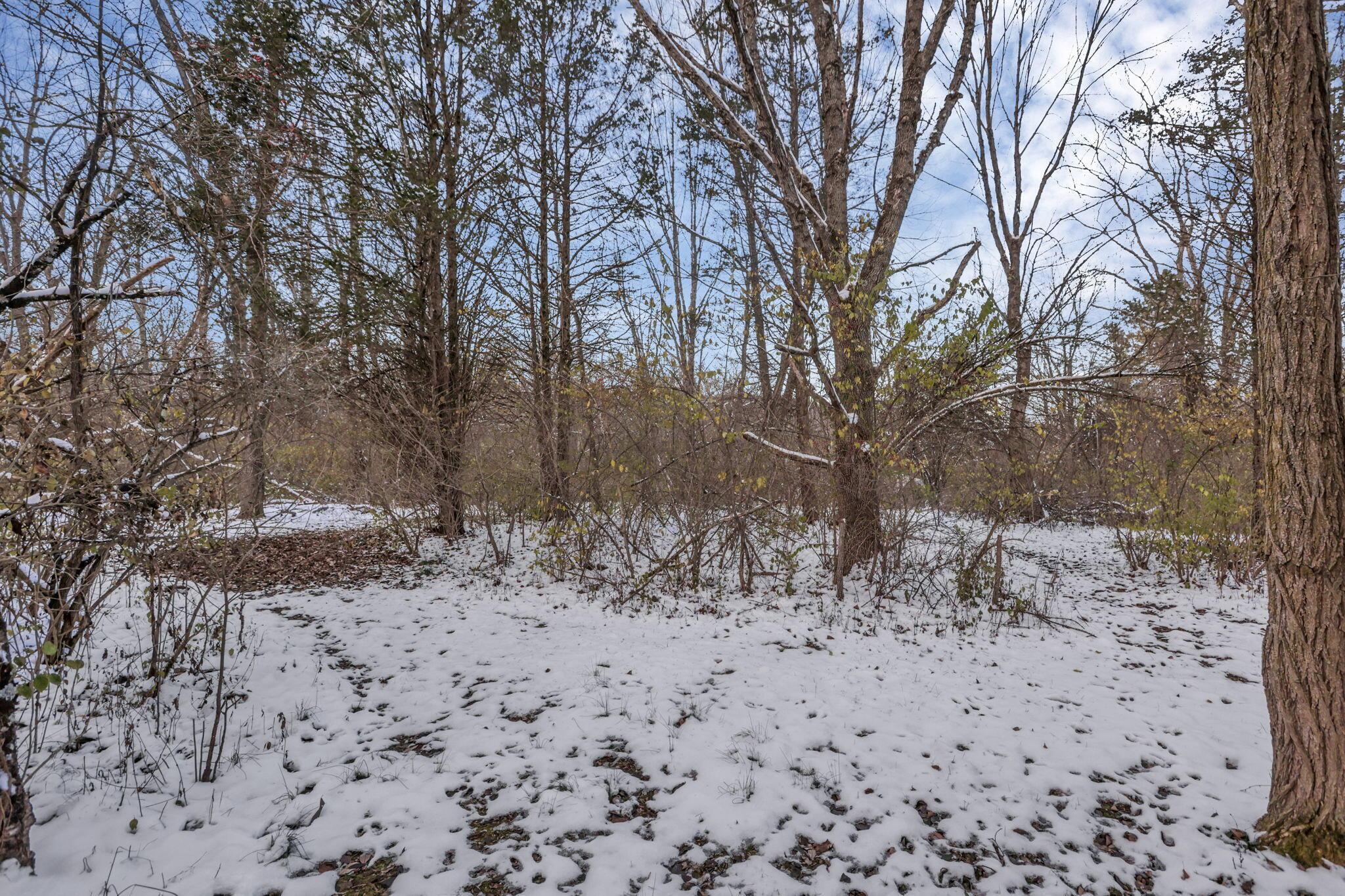 2115 Lamb Road Northwest Carroll, OH 43112 - Photo 51 of 81 63-web-or-mls-LO5A3260