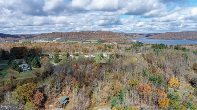 a view of a bunch of trees and houses