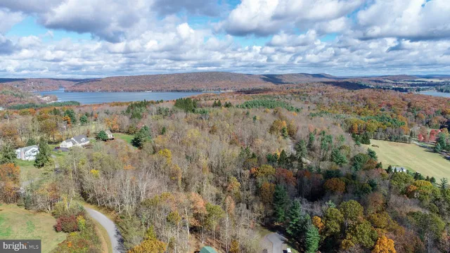 a view of a city with lots of trees