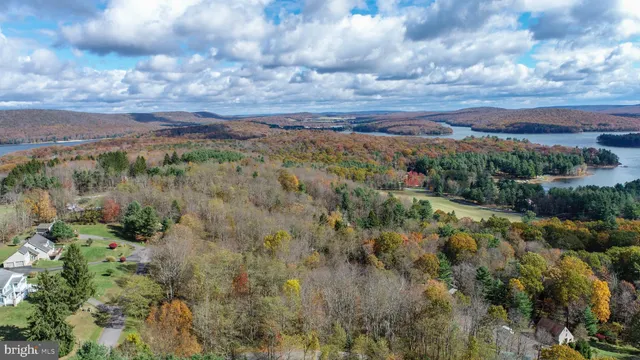 a view of a green field with lots of bushes
