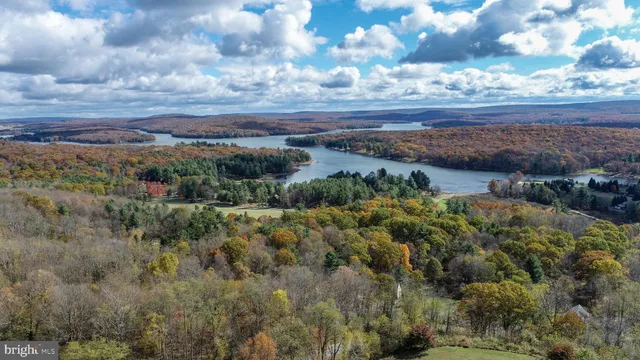 a view of a yard with an outdoor space