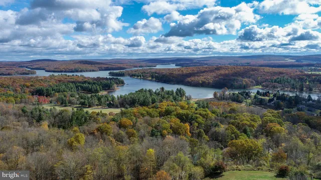a view of a bunch of trees and houses