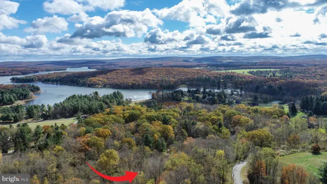a view of a lake with large trees