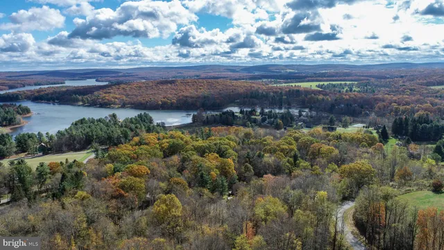a view of a city with lots of trees