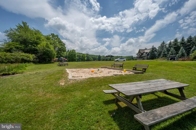 a yellow and red yard with large trees