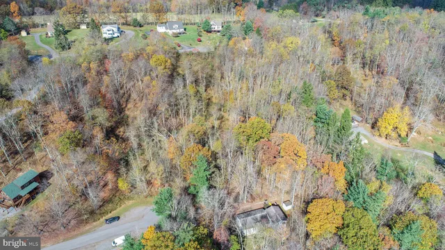 a view of a yard with large trees