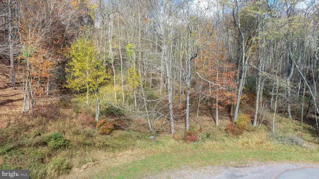 a view of small yard