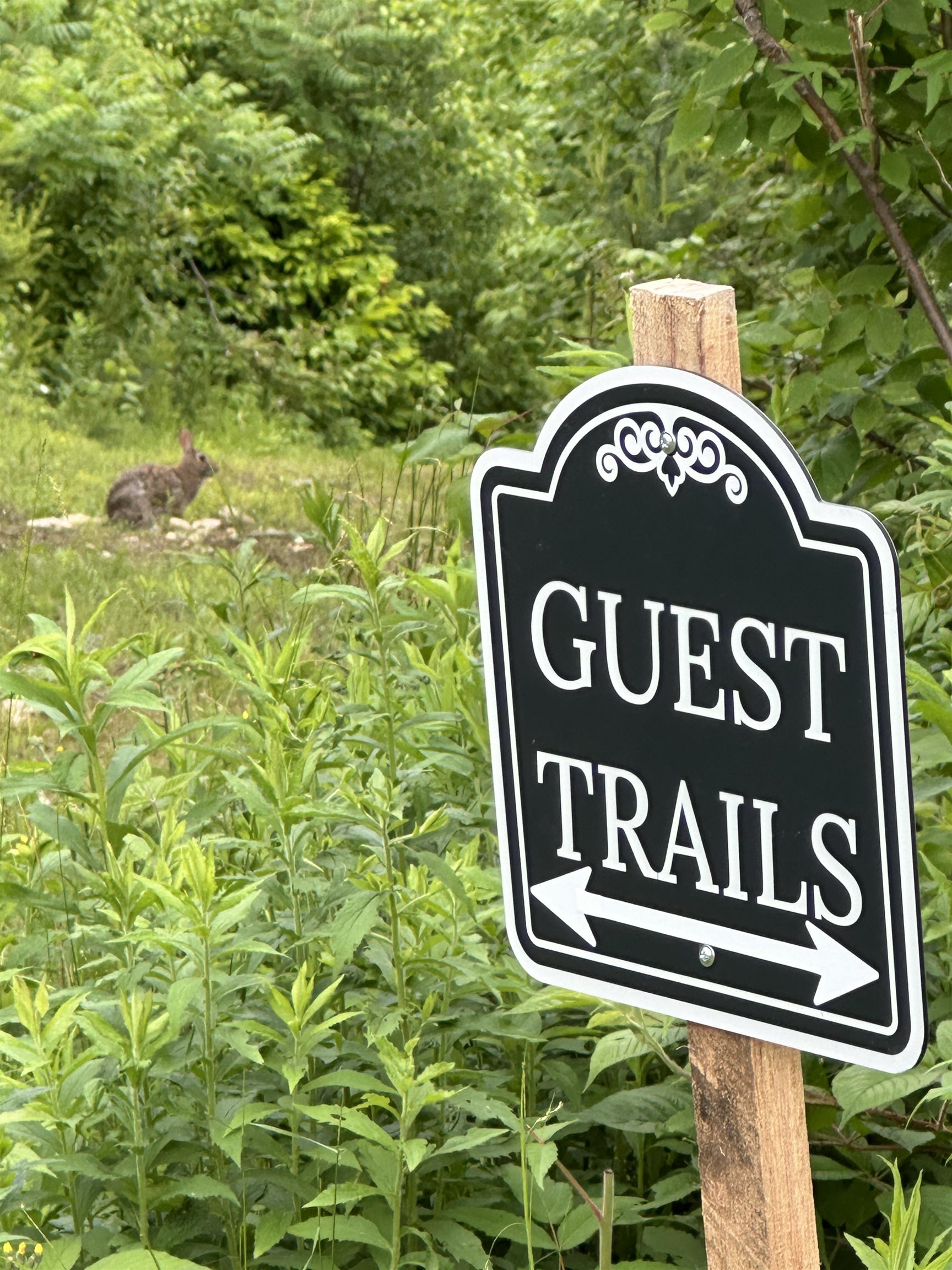 161 Concord Road Keene, NH 03431 - Photo 45 of 55