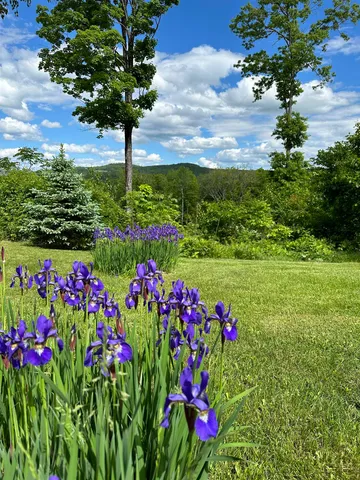 $2,900,000 | 161 Concord Road, Keene, NH 03431