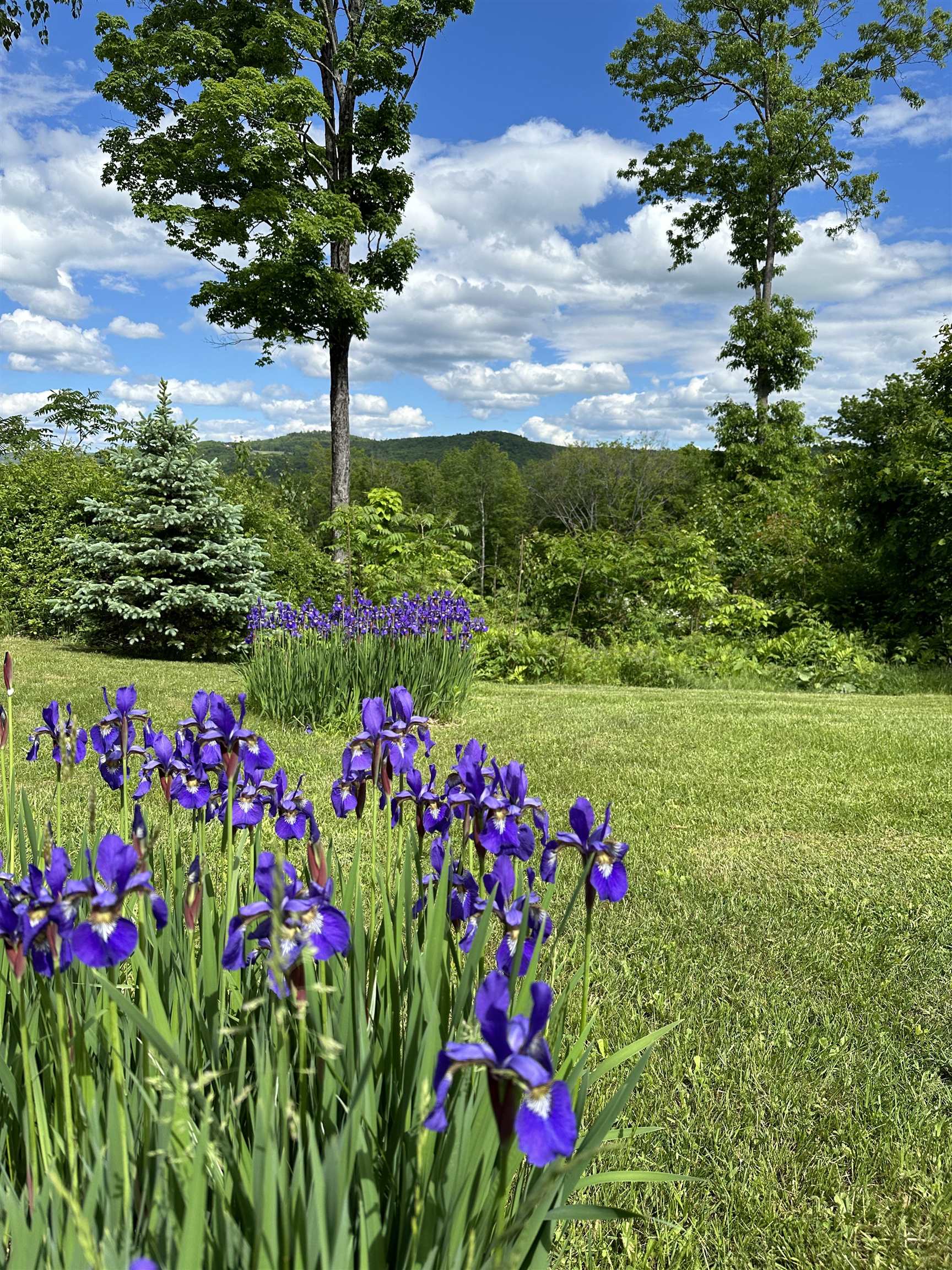 161 Concord Road Keene, NH 03431 - Photo 47 of 55