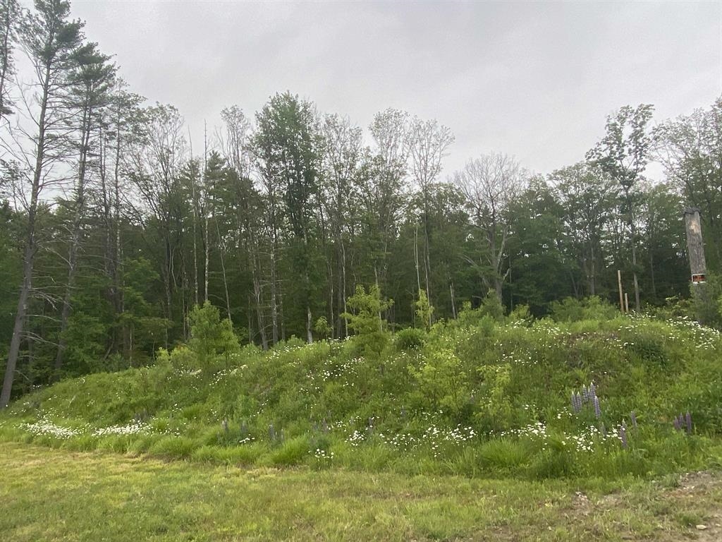 161 Concord Road Keene, NH 03431 - Photo 51 of 55