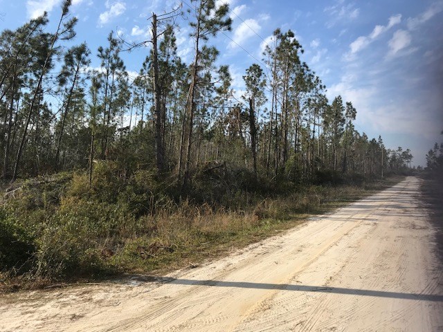 495 Timberlane Road Wewahitchka, FL 32465 - Photo 2 of 4