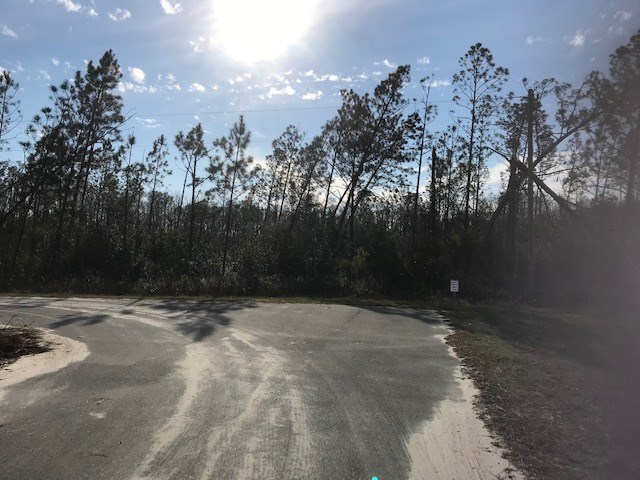 495 Timberlane Road Wewahitchka, FL 32465 - Photo 3 of 4