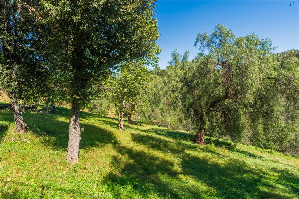 1920 Flint Rock Road Diamond Bar, CA 91765 - Photo 42 of 62 Yard includes native CA Sycamore trees, Pepper trees, and Coastal Live Oak trees