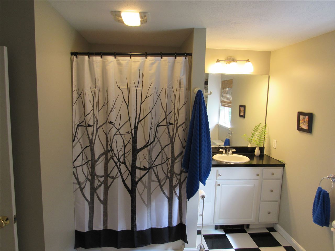 129 Deerfield Road Nottingham, NH 03290 - Photo 24 of 33