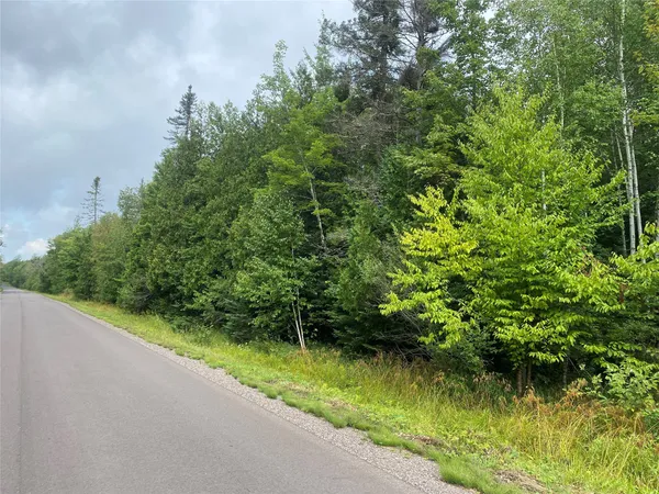 $126,160 | On Maple Ridge Road, Butternut, WI 54514