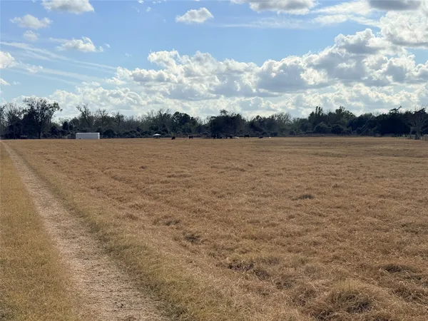 a view of a field