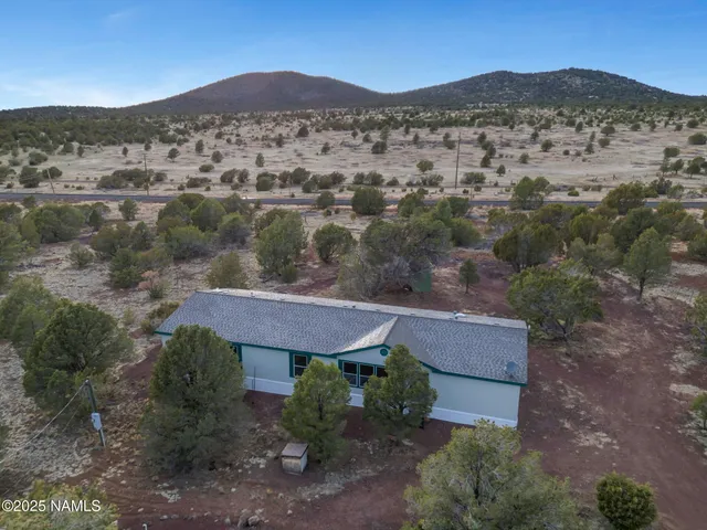 an aerial view of a house with a mountain