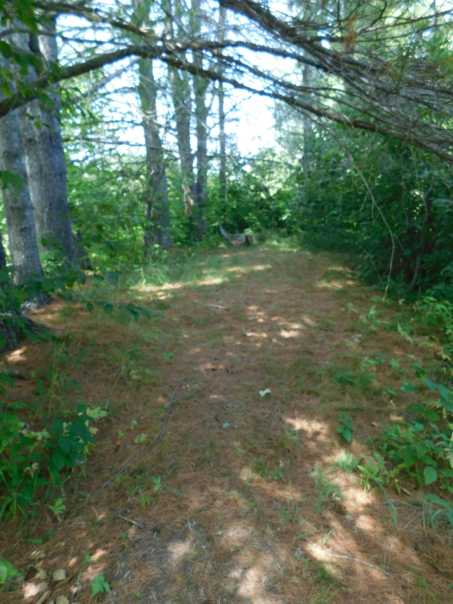 28 Worthen Road Corinna, ME 04928 - Photo 29 of 55 DSCN4908