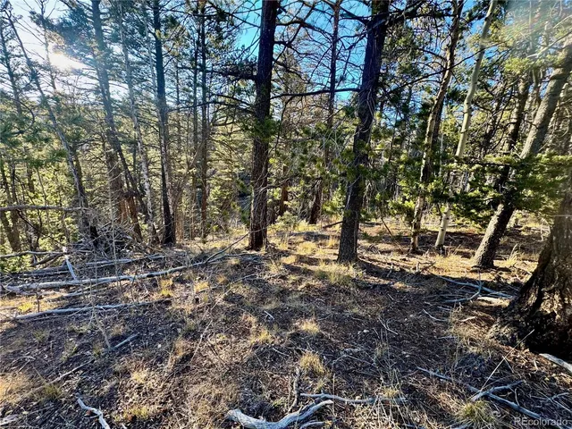 $19,500 | Lot 5888 Loubier Road, San Luis, CO 81152