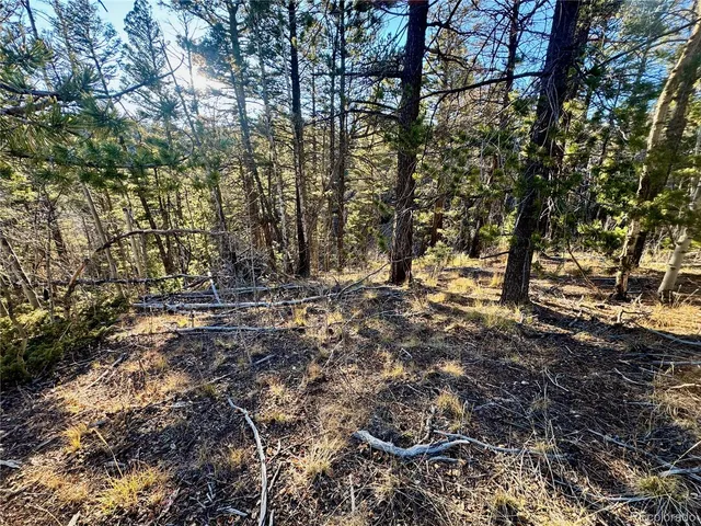 $19,500 | Lot 5888 Loubier Road, San Luis, CO 81152