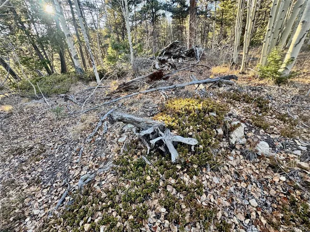 $19,500 | Lot 5888 Loubier Road, San Luis, CO 81152