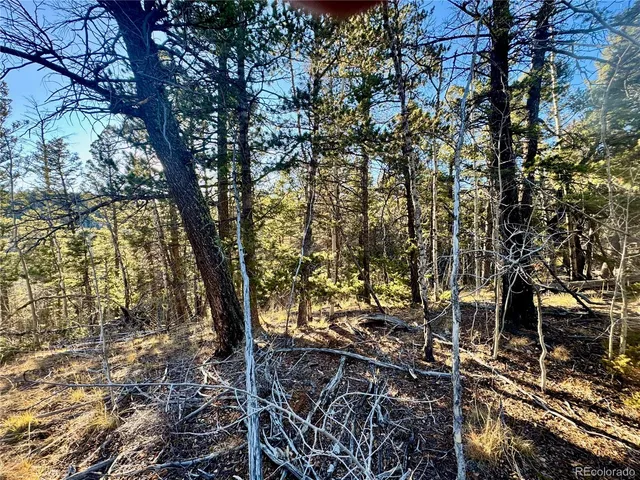 $19,500 | Lot 5888 Loubier Road, San Luis, CO 81152