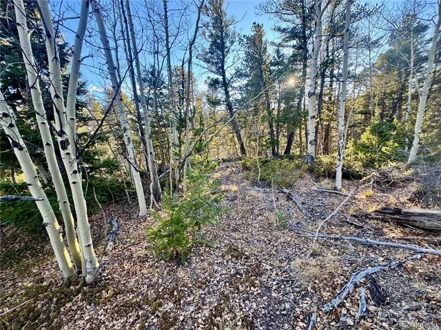 $19,500 | Lot 5888 Loubier Road, San Luis, CO 81152