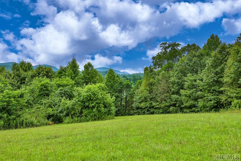 Tbd Hale Ridge Road Scaly Mountain, NC 28775 - Photo 6 of 11 Gallery Image 6
