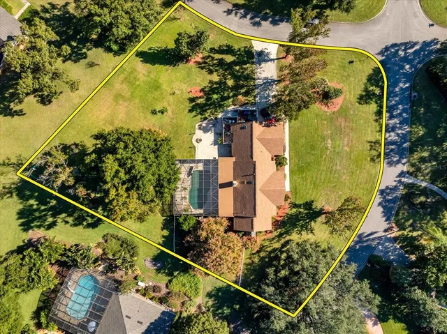 a view of a potted plants next to a road