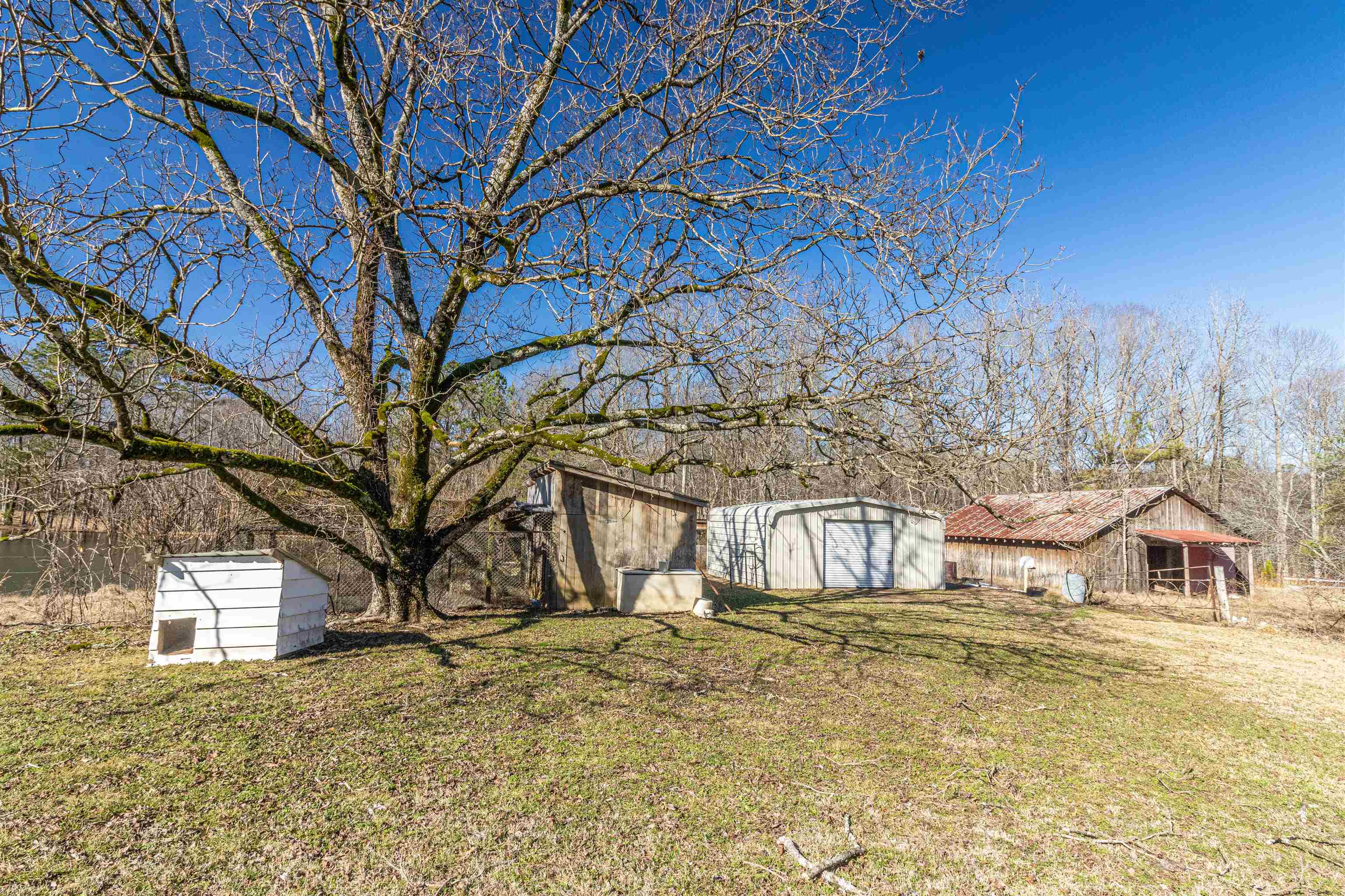 1224 Friendship Road Ramer, TN 38367 - Photo 24 of 25 Gallery Image 24