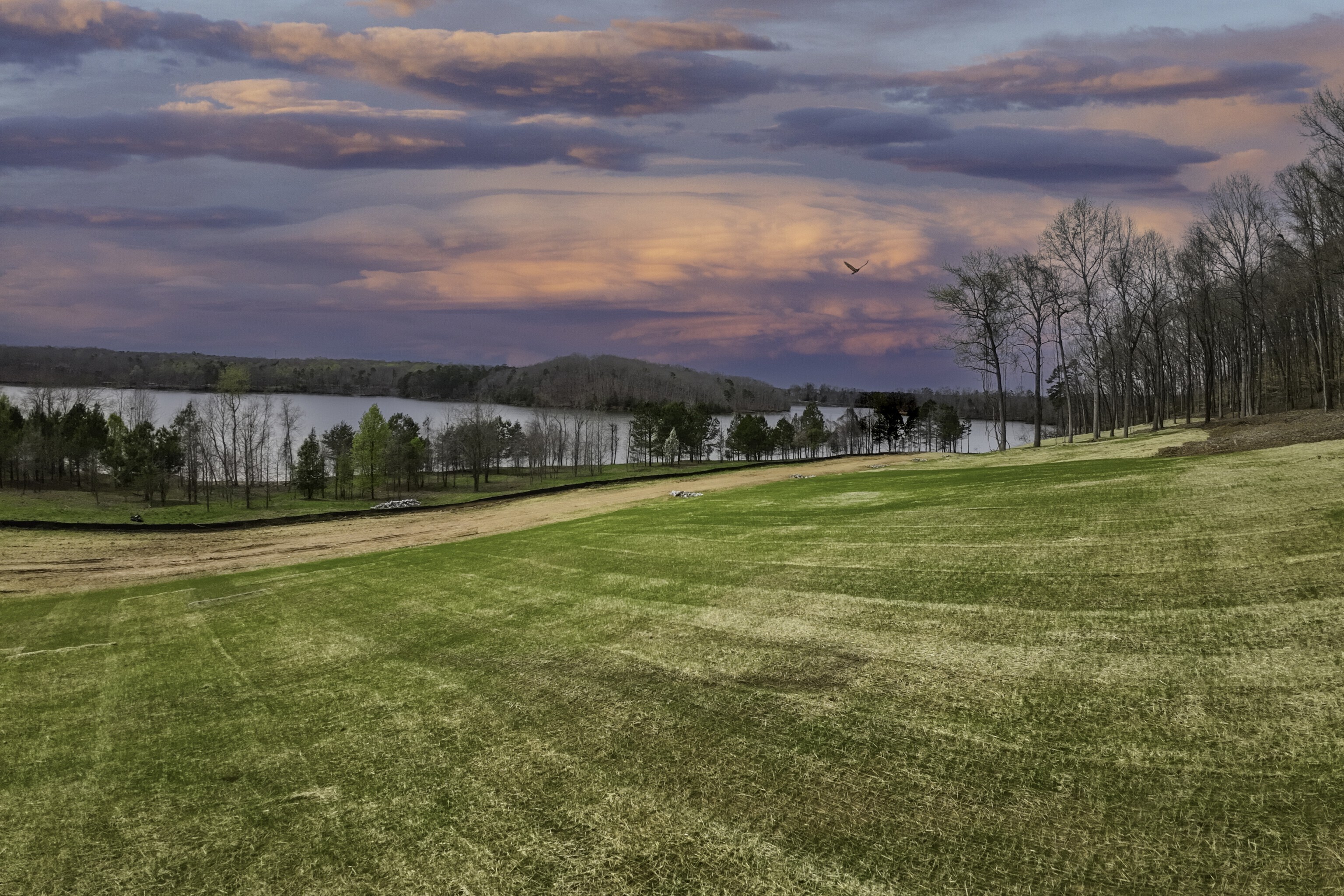 4588 Shirley Road, Unit LOT 9 Gainesville, GA 30506 - Photo 1 of 1 Gallery Image 1