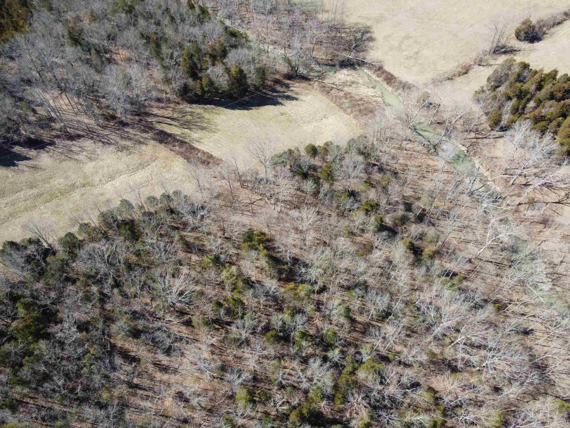 2740 Lemon Northcutt Road Dry Ridge, KY 41035 - Photo 12 of 37