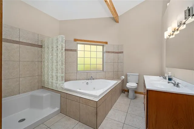 a bathroom with a bathtub a sink a toilet and a mirror