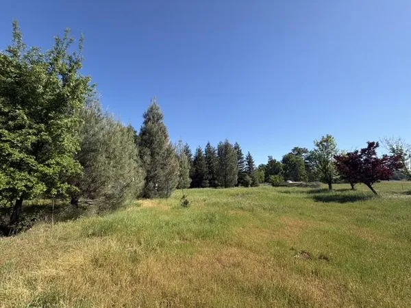 a view of a field with trees in the background