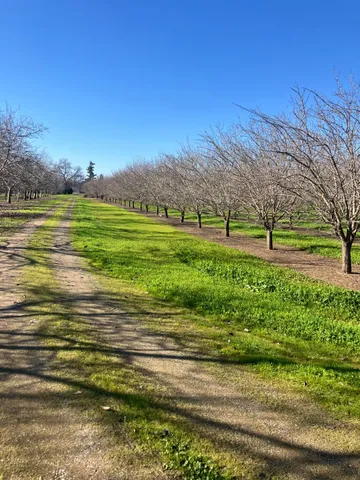 $1,100,000 | 1935 Warnock Way, Durham, CA 95938