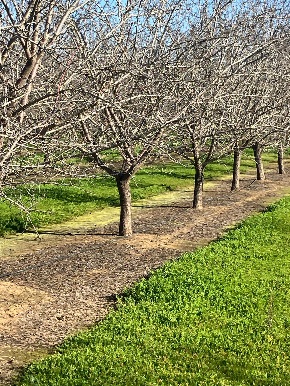1935 Warnock Way Durham, CA 95938 - Photo 2 of 7