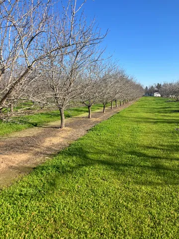 $1,100,000 | 1935 Warnock Way, Durham, CA 95938