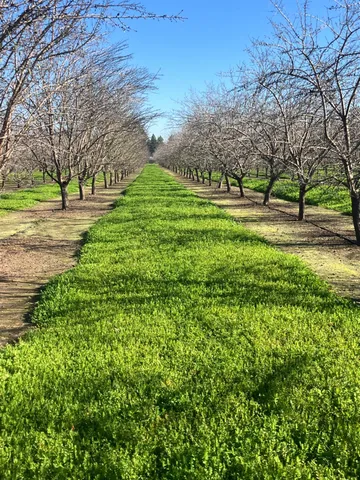 $1,100,000 | 1935 Warnock Way, Durham, CA 95938