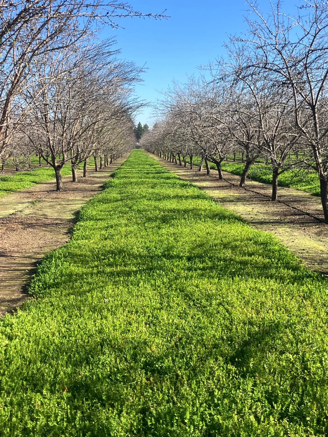 1935 Warnock Way Durham, CA 95938 - Photo 4 of 7