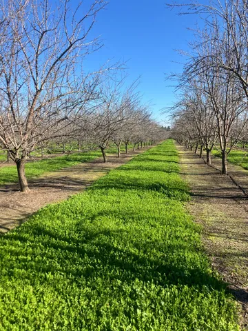 $1,100,000 | 1935 Warnock Way, Durham, CA 95938