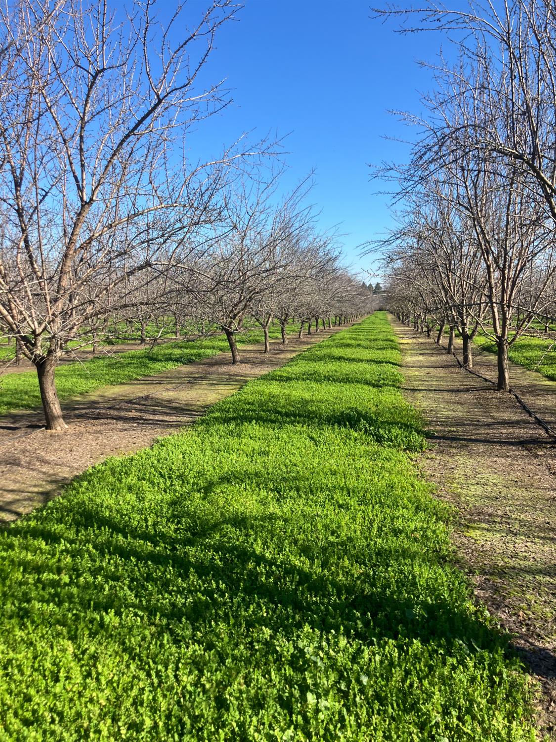 1935 Warnock Way Durham, CA 95938 - Photo 5 of 7