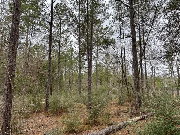 $44,900 | 4520 Warren Tx 77664, Warren, TX 77664