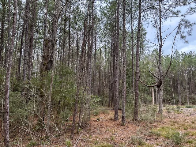 $44,900 | 4520 Warren Tx 77664, Warren, TX 77664