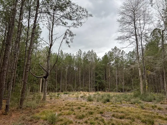 $44,900 | 4520 Warren Tx 77664, Warren, TX 77664